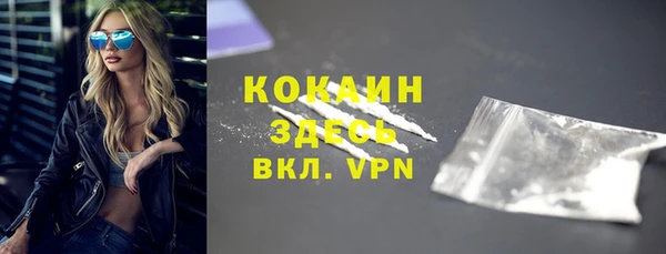 гидра Михайловск