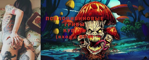 гидра Михайловск