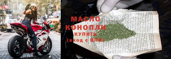 гидра Михайловск